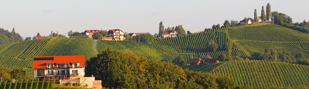 Österreichischer Wein